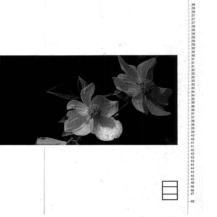 Bloom Offering - Honour Killing