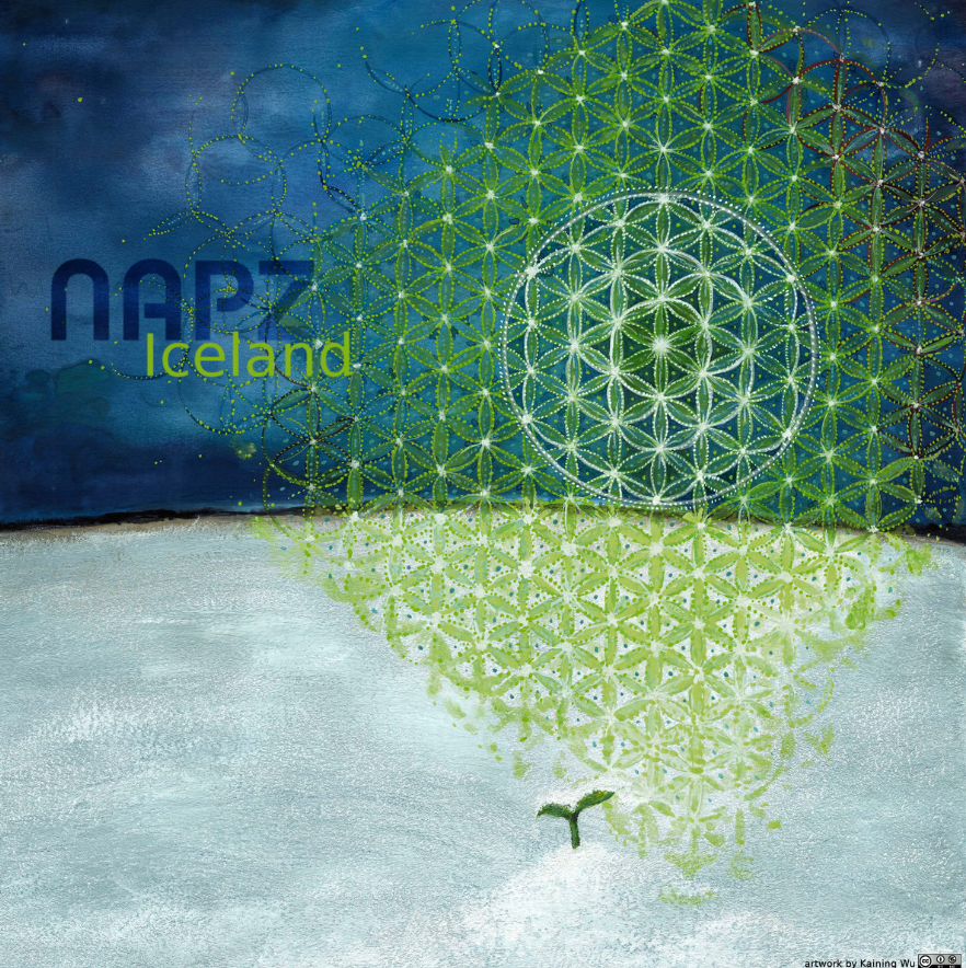 Album cover of Napz's Iceland.